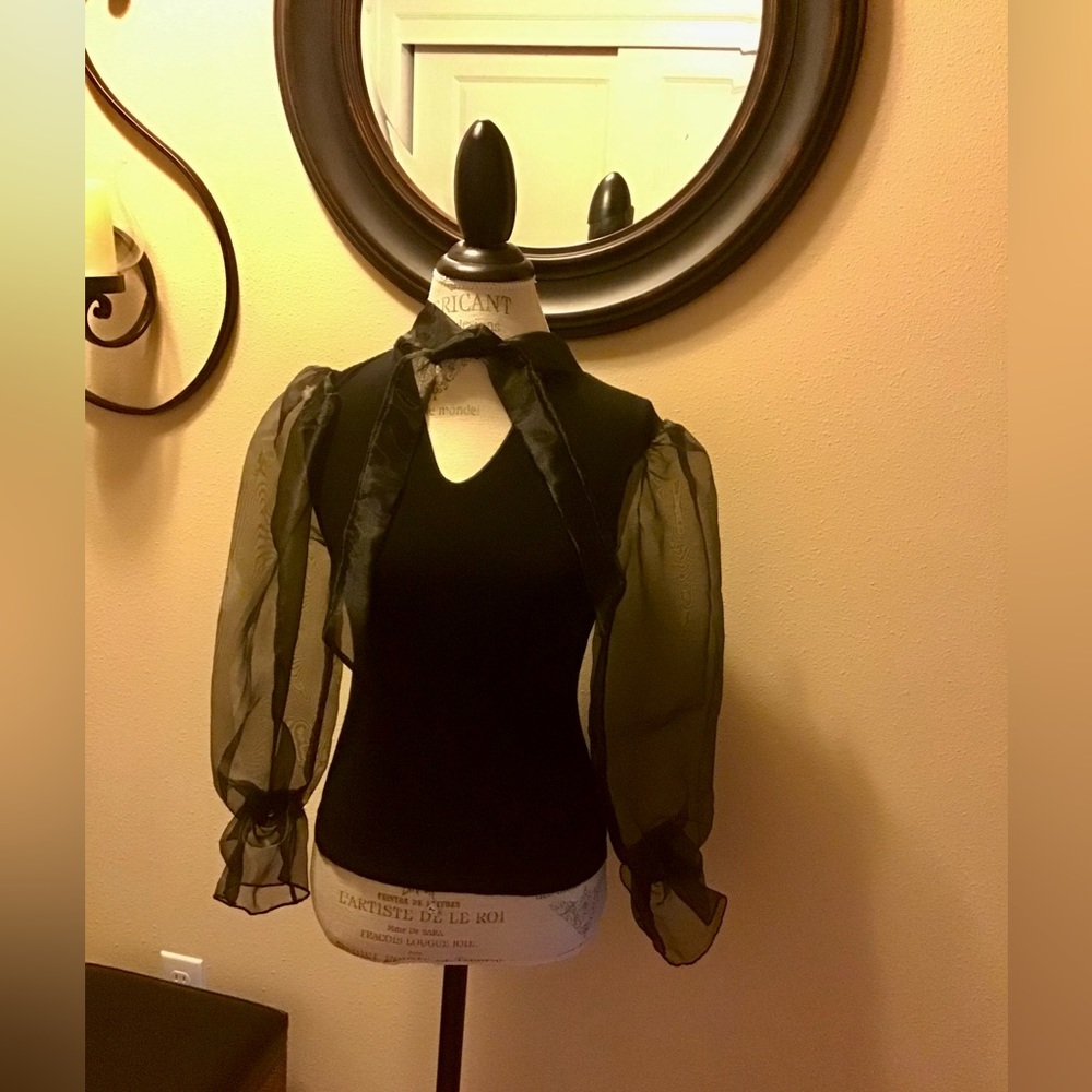 BEAUTIFUL TINY WILLOW TOP. SHEER SLEEVES W/ELASTIC CUFFS. EXCELLENT CONDITION